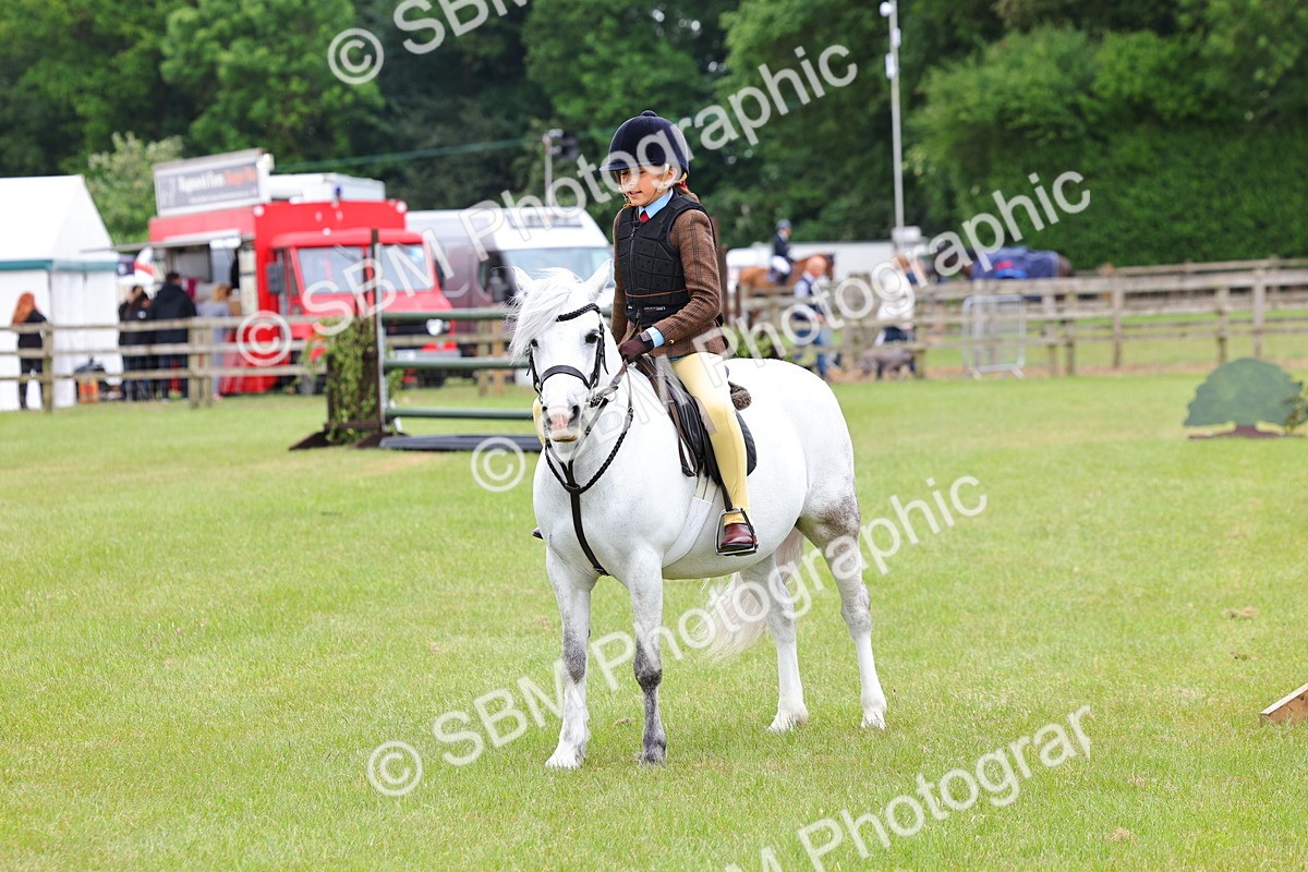 SBM_08711 - Class 42-43 - LIHS BSPS Heritage Working Sports Pony