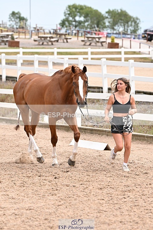 250716-144508-01364 - Trot Up 2.30 to 3.30