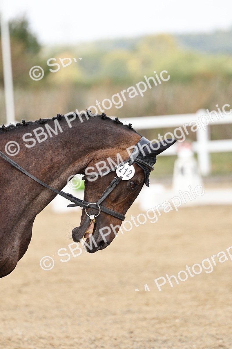 SBM_018186 - Class 16 - Novice 5 - 11.12-12.01