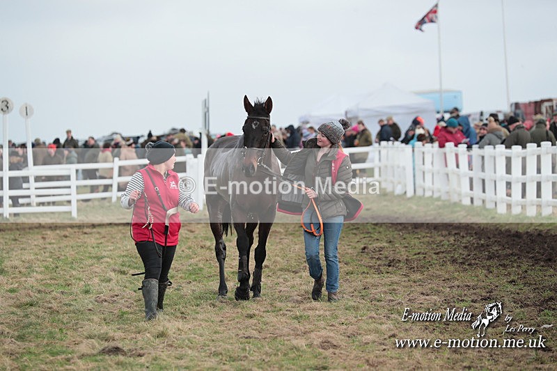 PtP 311223 341 - Larkhill Racing Club Point-to-Point 31/12/23