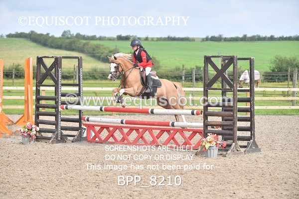 BPP_8210 - CLASS 13 SUN Pony BritiNovice / 0.80m Open