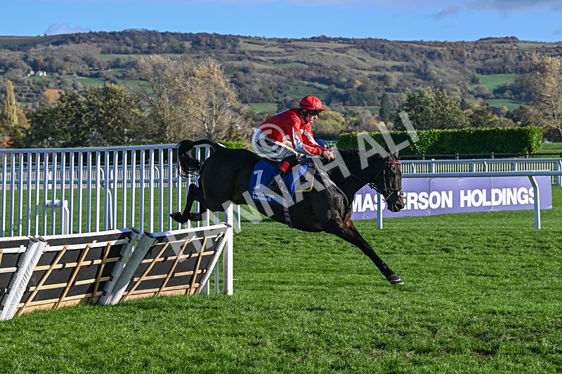 251025-Race 4-Gowel Road-9134 - Race 4