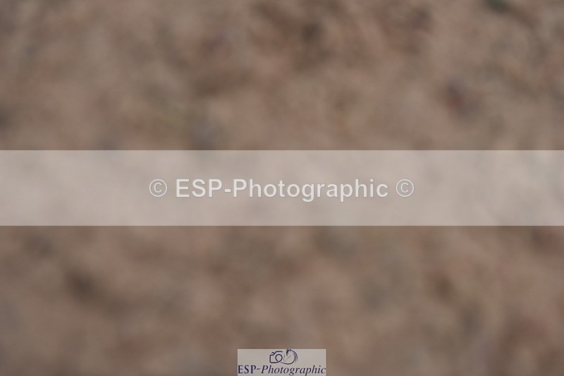 230902A-132614-01392 - Cls 10 National 1.15m