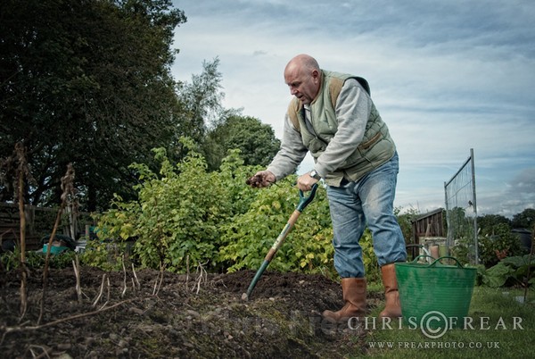 CFB_0033-286-copy - Allotment Faces