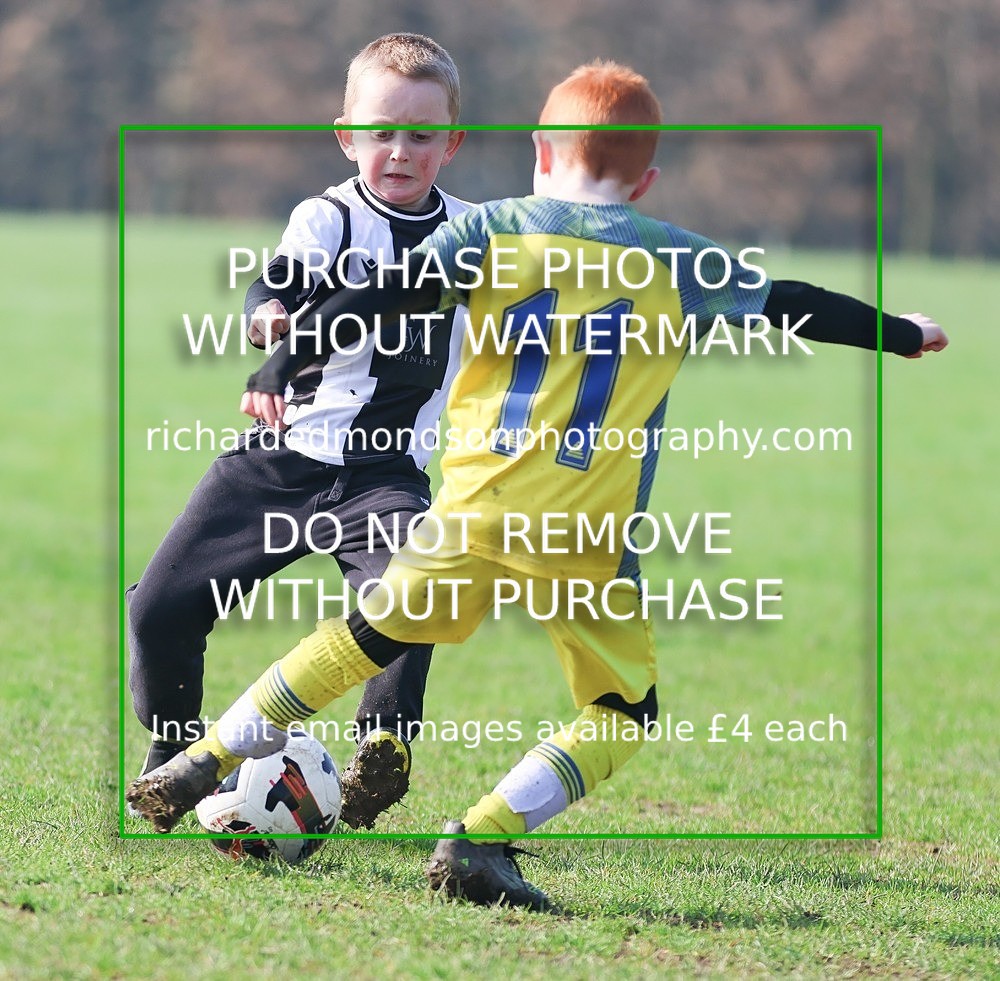 533A9511 - Craven Wanderers Under 7's (21/3/26)