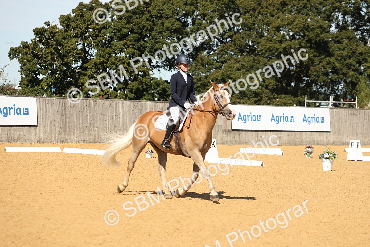 SBM_19754 - D10 - Small Tour Championship - Prelim 2