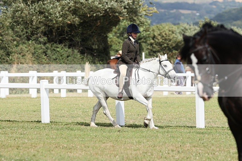 JPP_2388 - Class 19: Working Hunter 60cm