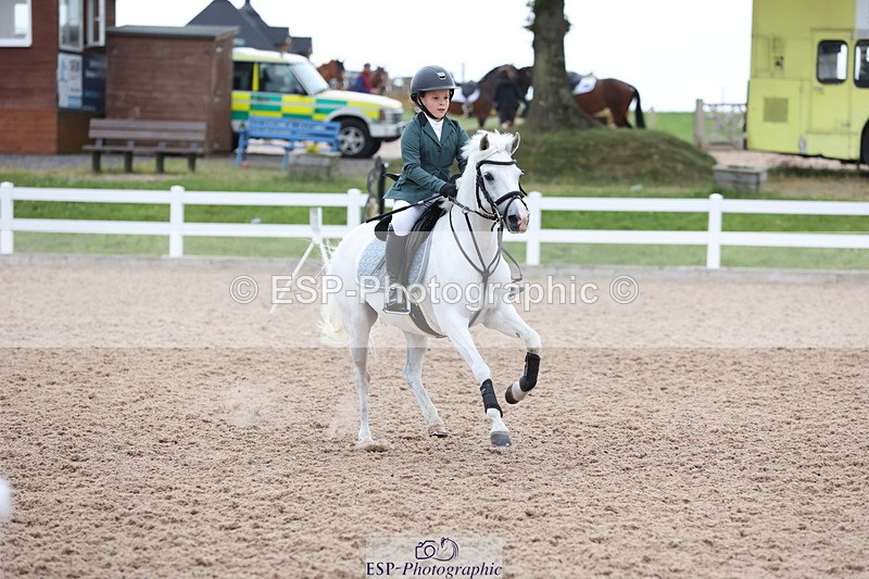 240630A-185047-16511 - Cls 29 Springboard 128cm + 138cm