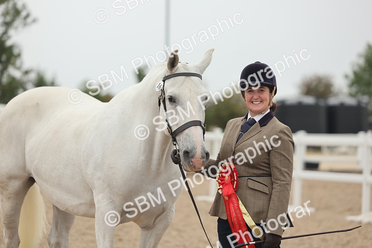 SBM_19463 - Class 317 - IH Pure Bred Horse-Pony