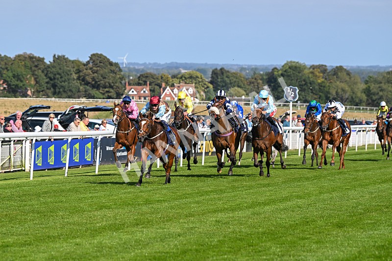 180924-Race 4-Surprised-4456 - Race 4