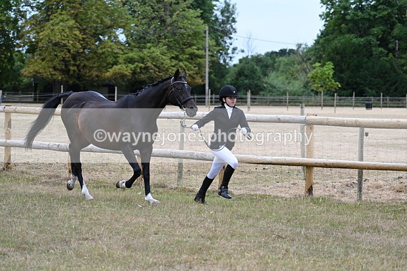 WJ7_8990 - Class 4a Prettiest Mare 14.2hh and over