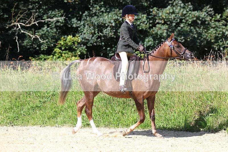 3E7A8098 - Class 16: First Ridden