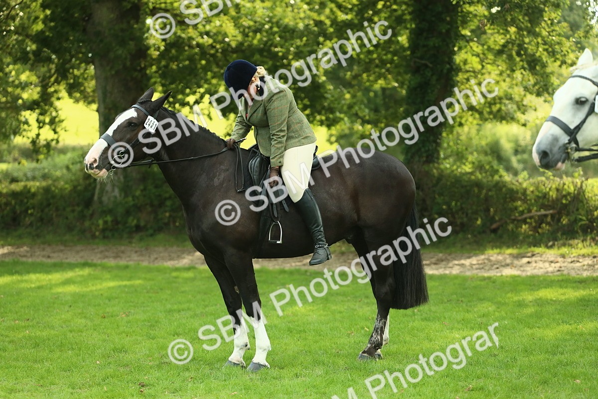 SBM_52159 - S33 - Working Hunter & Working Show Horse