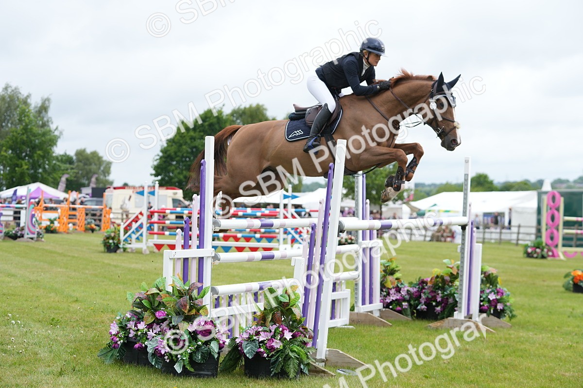 SBM_03185 - Class 201 - British Horse Feeds Speedi Beet Horse of the Year Show Grade  C