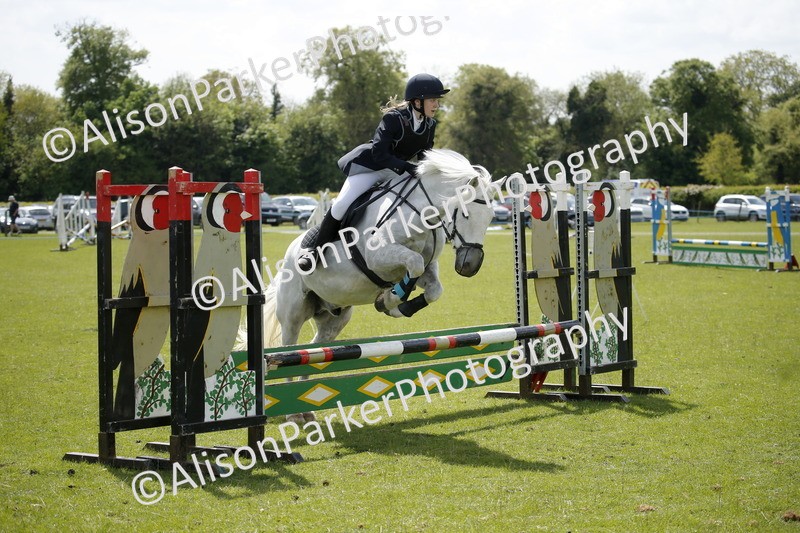 20250427-3743 - Class 14 - Absolute Novice 70cm