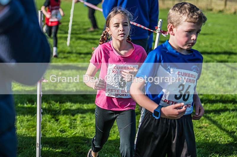 Cumbria XC-31 - Cumbria XC League Workington Saturday 26th October 2024