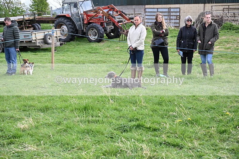 WJ6_8440 - Class 6 Best Rescue