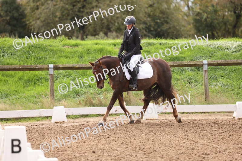 20251021-0018 - Class 2 - Intro 4