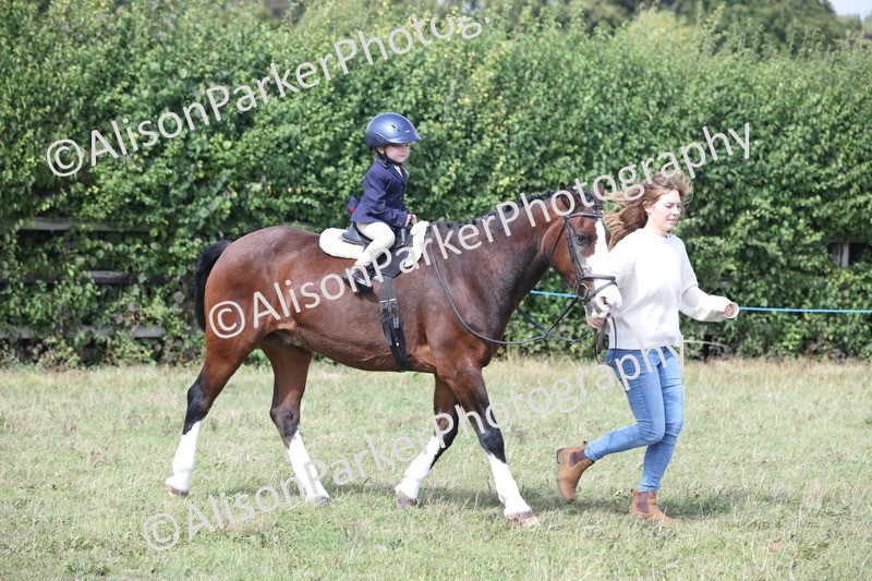 20250831-3277 - Class 24 - Absolute Beginners Pony