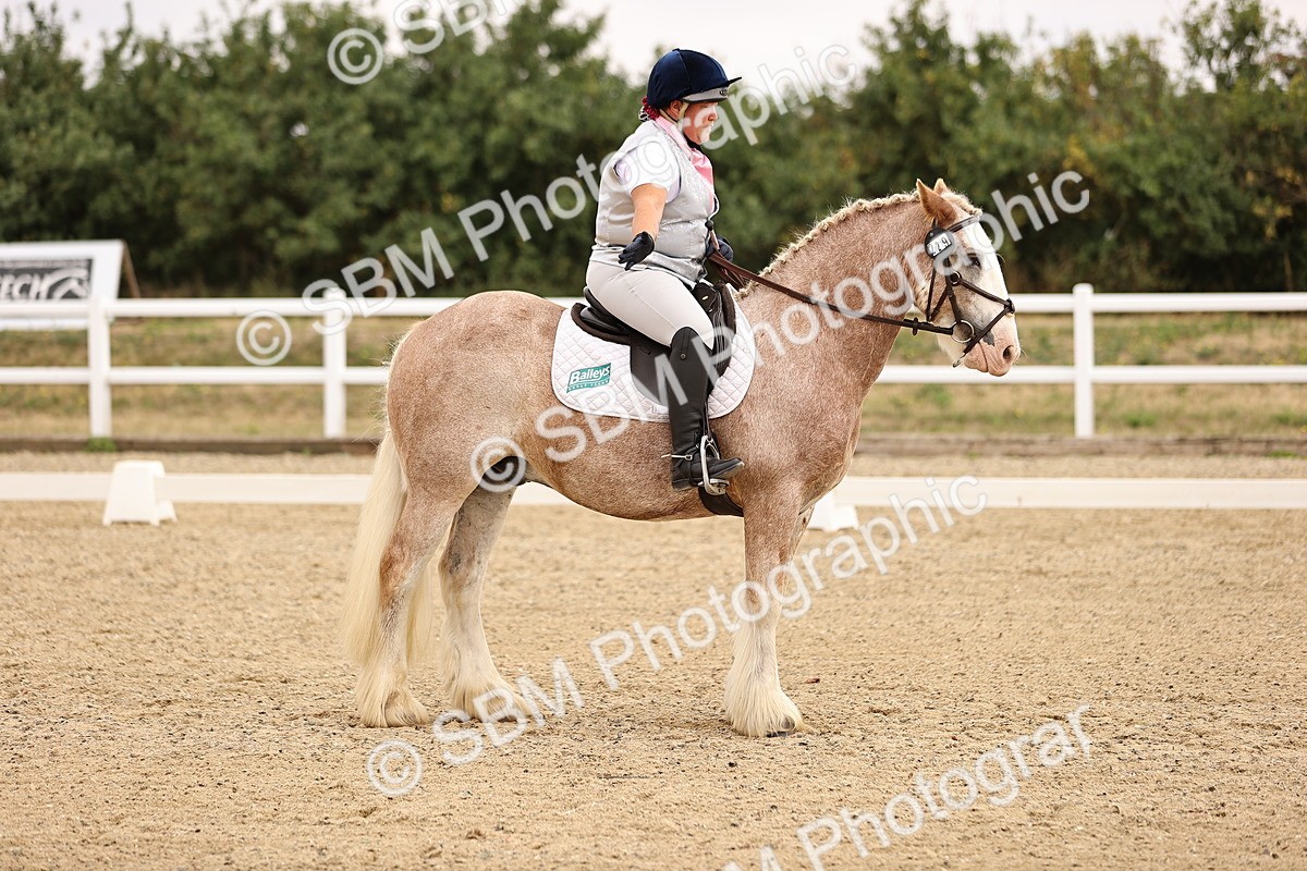 SBM_006430 - Intro 3 - 9.46-10.46