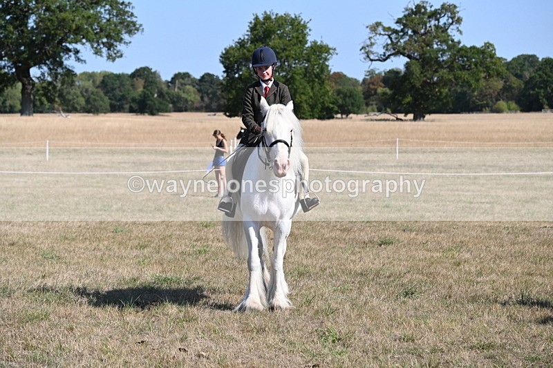 WJ6_7549 - Class 34 Judges Choice