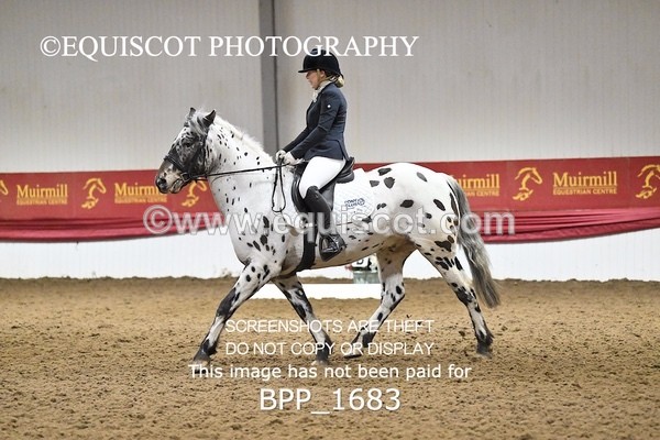 BPP_1683 - PC NOVICE DRESSAGE