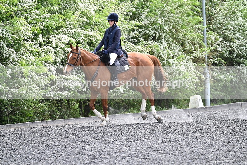 WJ7_0815 - Time 14:01 to 14:12