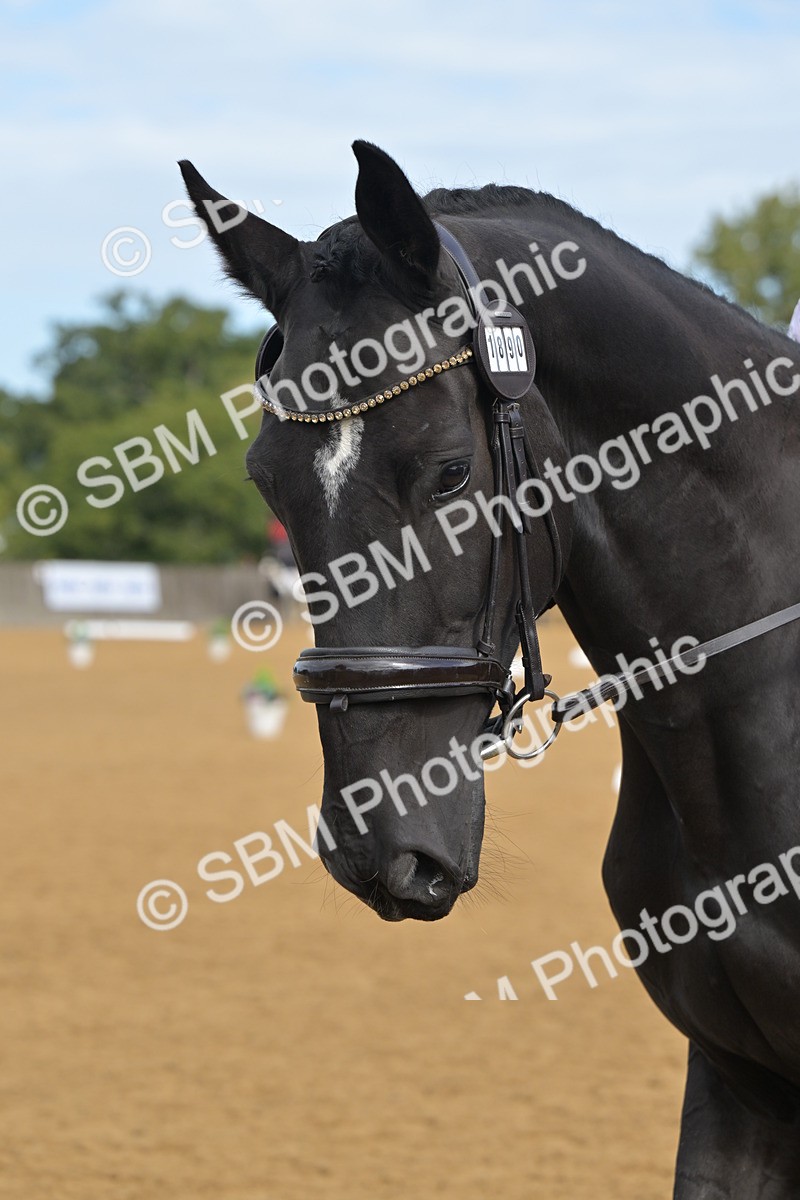 SBM_03722 - D2 - Small Tour Championship Intro 2