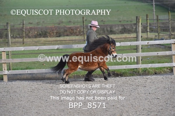 BPP_8571 - RING 2 - M&M