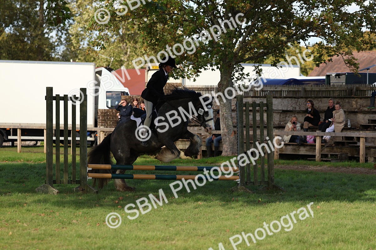 SBM_52486 - S13 - Pony Club Pony