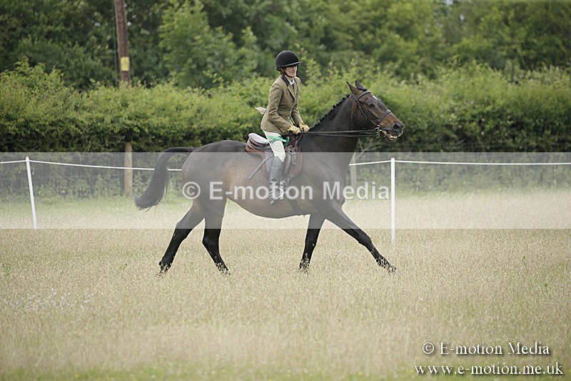 B230619-0810 - Bourne Valley Riding Club Summer Show 23/06/19