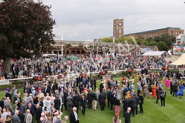 yr18082022r2-7 - Race 2 2.25pm Goffs UK Harry Beeby Premier Yearling Stakes