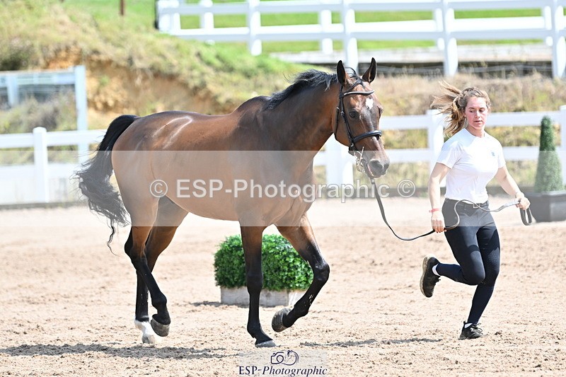 240717A-150053-02440 - Trot Up 3pm to 4pm