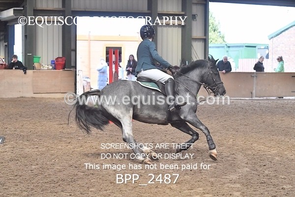 BPP_2487 - CLASS 16 Pony BritiNovice / 0.80m Open