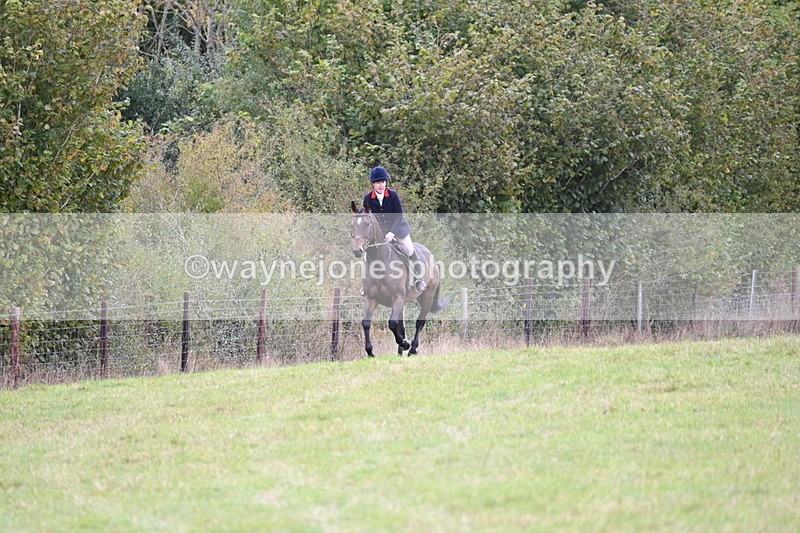 WJ6_0815 - Camera 2 Line 1