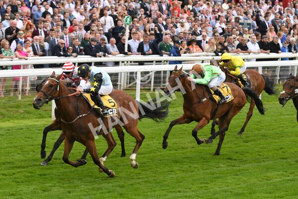 yr11062022r3-19 - Race 3 2.35pm The JCB Stakes