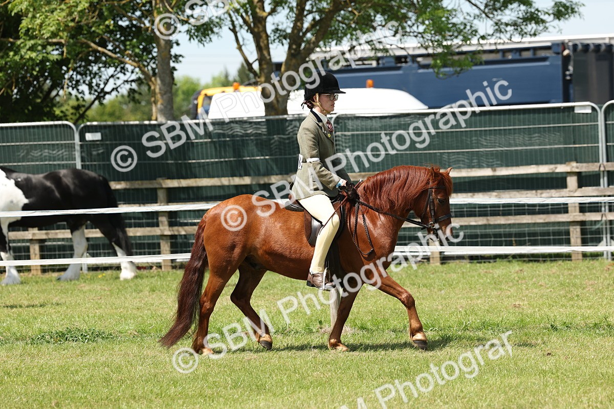 SBM_06811