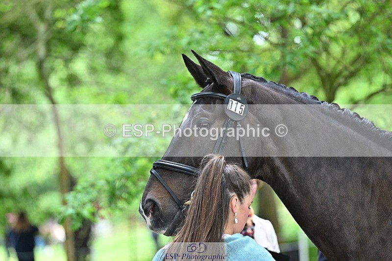 250521A-143924-00149 - A-015-Amelia.England-ELUNA