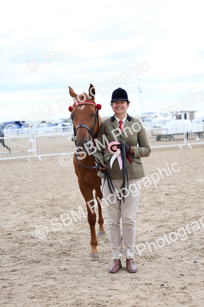 SBM_05800 - Class 28 - IH Veteran Horse