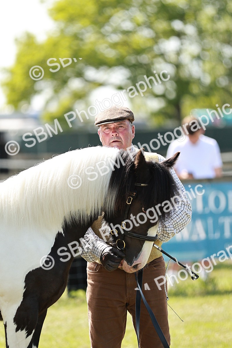 SBM_08674
