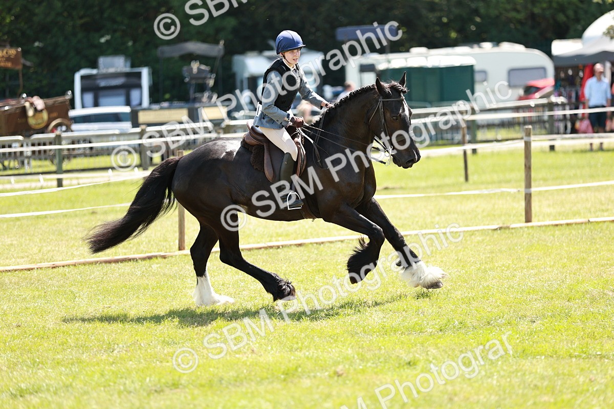 SBM_16399 - Class 110-111 - Training Stakes (70cms 80cms)