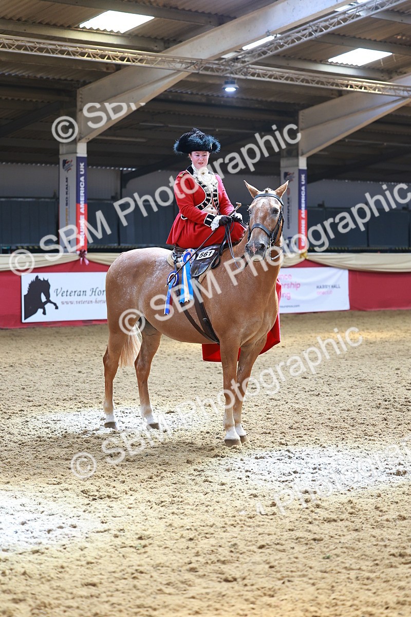 SBM_13915 - Class 106 - Ridden Costume - Side Saddle
