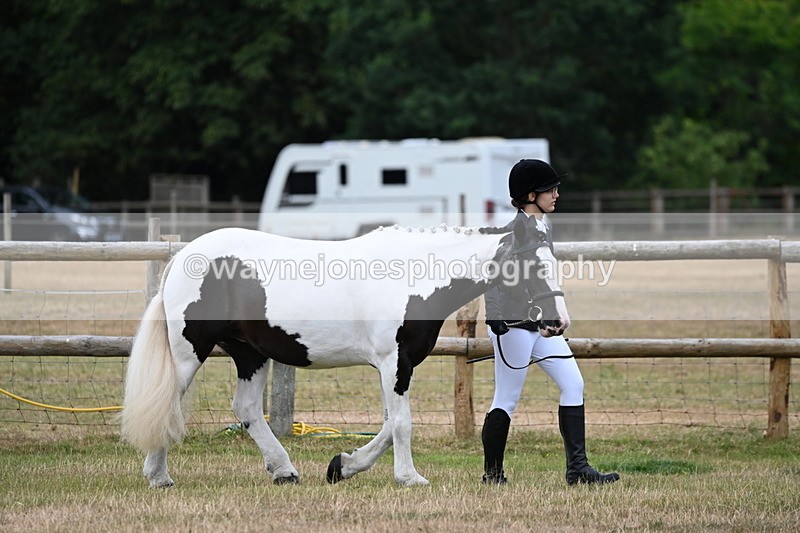 WJ6_4142 - Class 10 Coloured In-hand