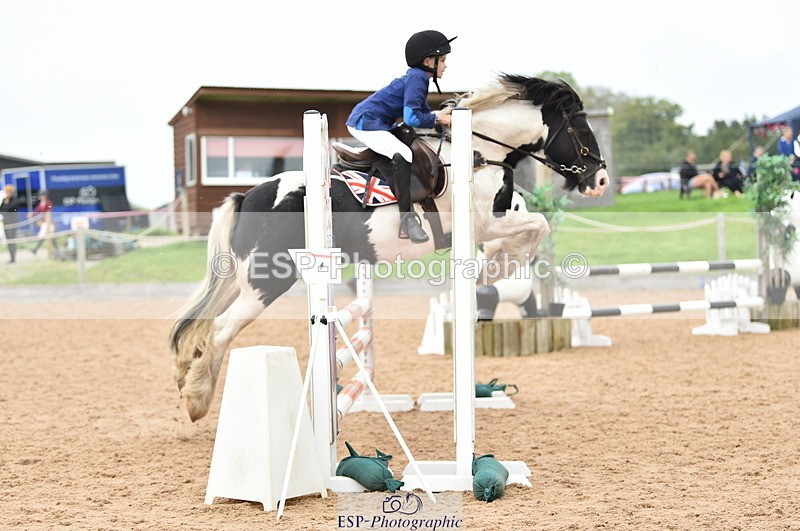 230902A-114718-00842 - Cls 2B Pony Small 80cm