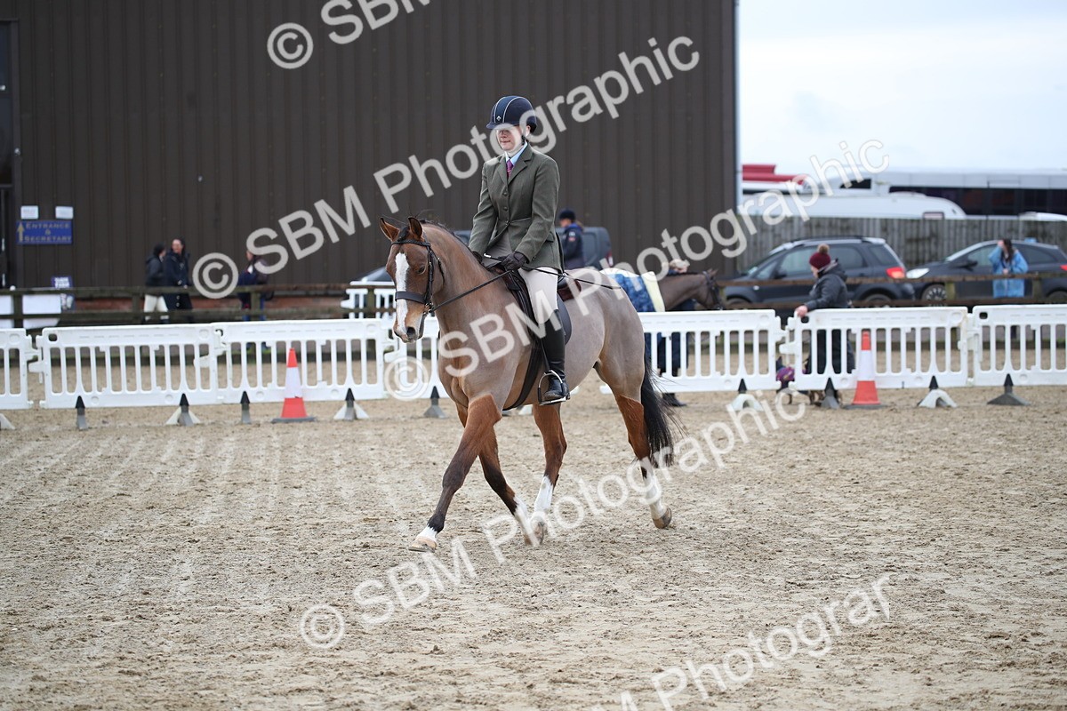 SBM_004760 - Class 5-9 - NPS In Hand-Show Hunter-Intermediate Ridden Inc Ridden Championship