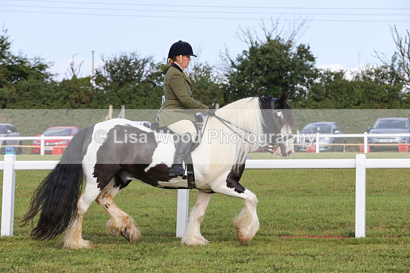 1X9A3195 - Class 28: Ridden Native/Trad Coloured Pony
