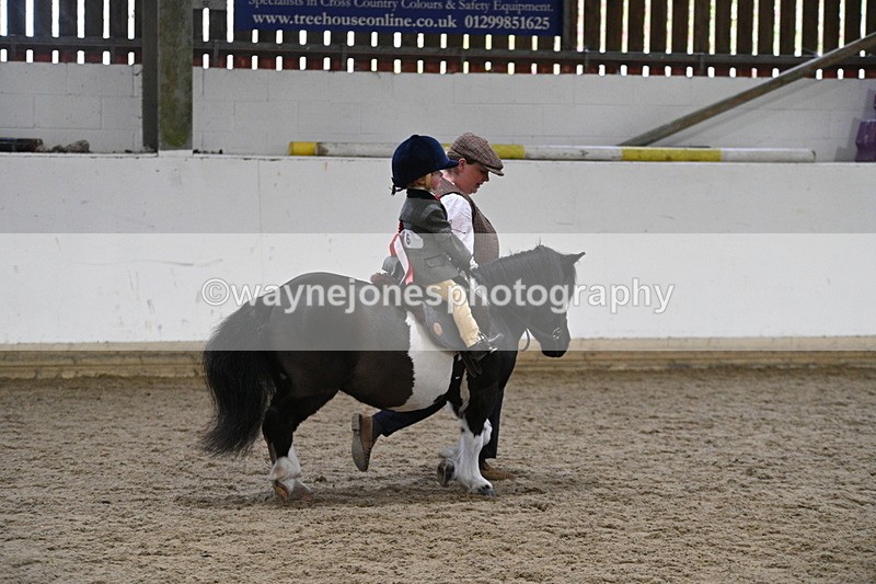 WJ7_4593 - Afternoon Champs