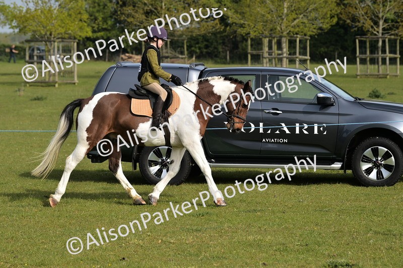 20260426-0868 - Class 18 - Novice Showing