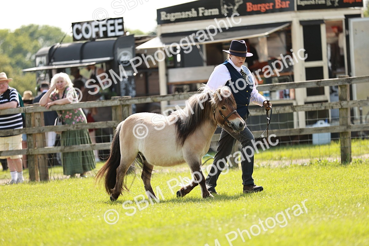 SBM_01744 - Class 14-23 - Mountain & Moorland In Hand Non Welsh