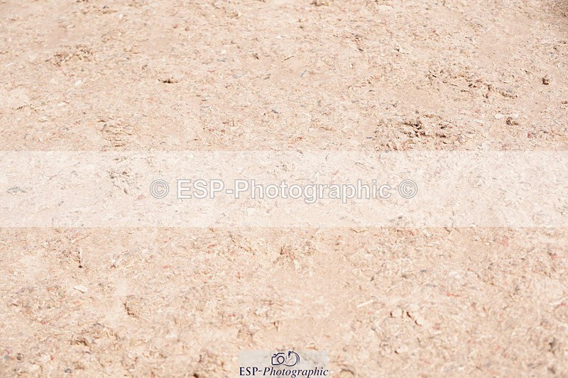250510-105436-10939 - Cls 15 Prestige Big Star Qualifier